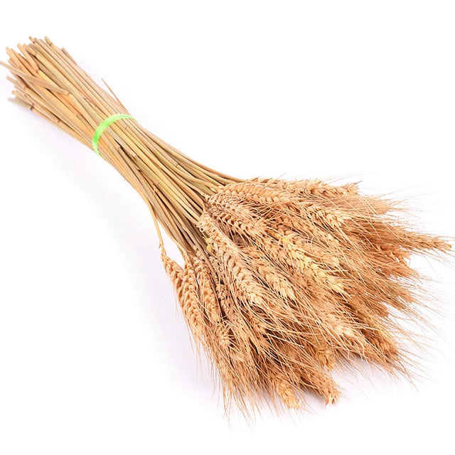 Bulrush Natural Dried Small Pampas Grass Phragmites Artificial Plants Wedding Flower Bunch