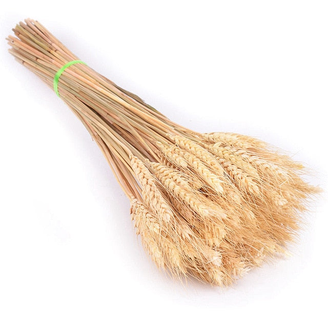 Bulrush Natural Dried Small Pampas Grass Phragmites Artificial Plants Wedding Flower Bunch