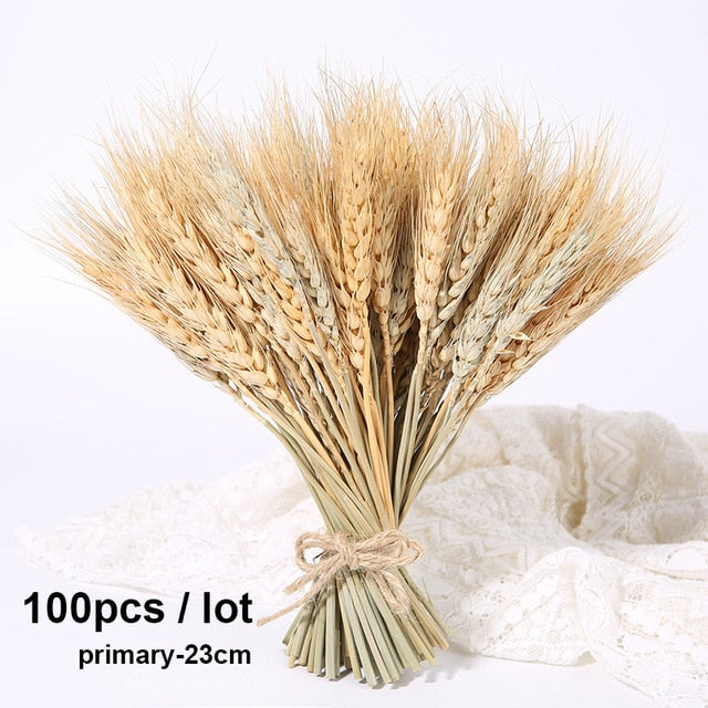 Bulrush Natural Dried Small Pampas Grass Phragmites Artificial Plants Wedding Flower Bunch