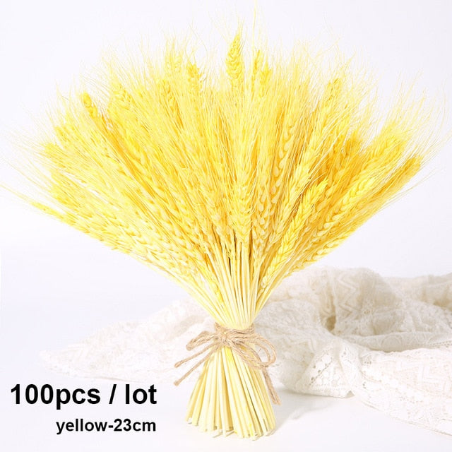 Bulrush Natural Dried Small Pampas Grass Phragmites Artificial Plants Wedding Flower Bunch