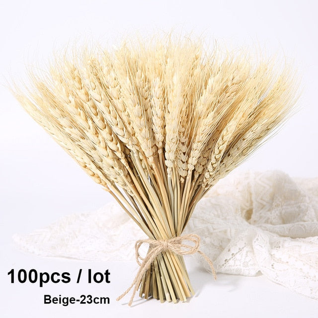 Bulrush Natural Dried Small Pampas Grass Phragmites Artificial Plants Wedding Flower Bunch