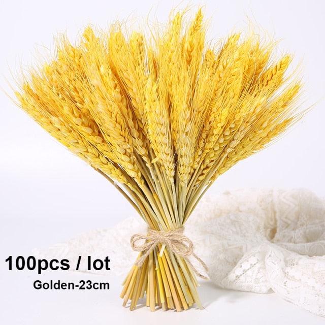 Bulrush Natural Dried Small Pampas Grass Phragmites Artificial Plants Wedding Flower Bunch