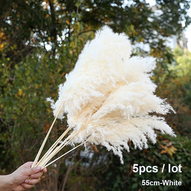 Bulrush Natural Dried Small Pampas Grass Phragmites Artificial Plants Wedding Flower Bunch