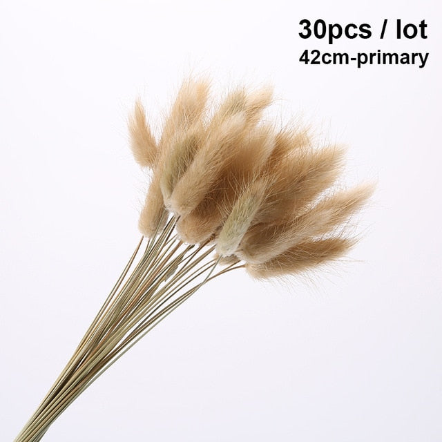 Bulrush Natural Dried Small Pampas Grass Phragmites Artificial Plants Wedding Flower Bunch